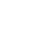 Icon4